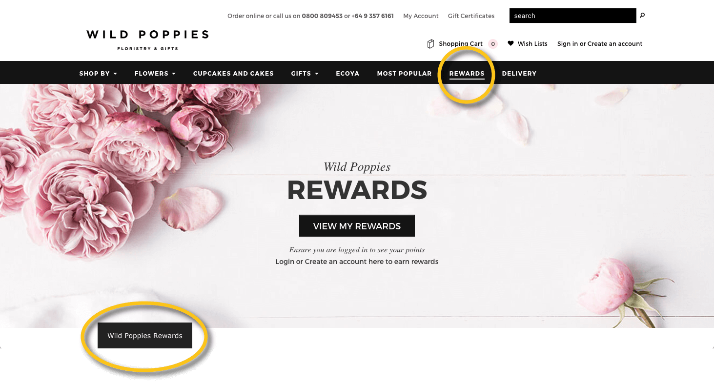 Addressing Customer Motivations with Loyalty